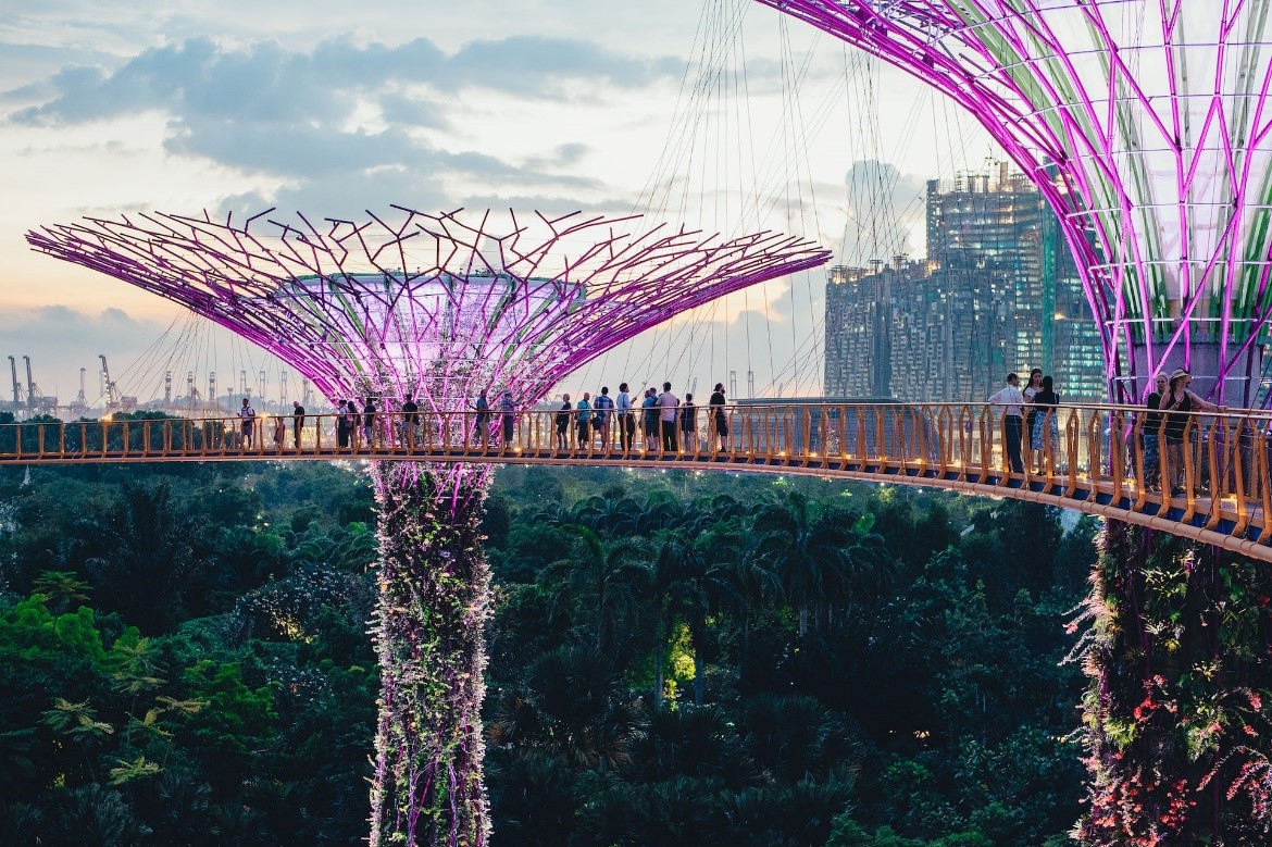 The Singapore Super Tree and its surroundings.